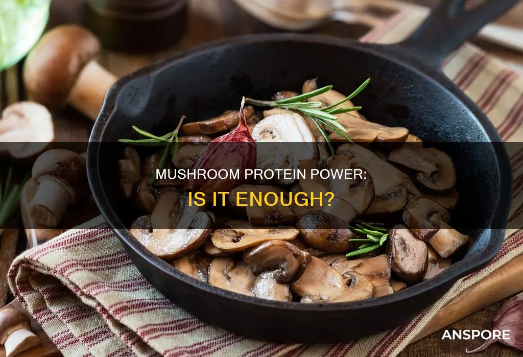 is mushroom a protein