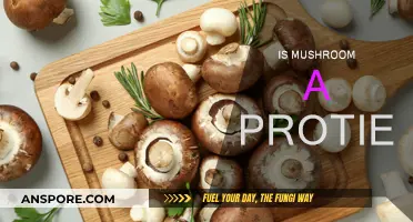 Mushroom Protein Power: A Healthy Alternative