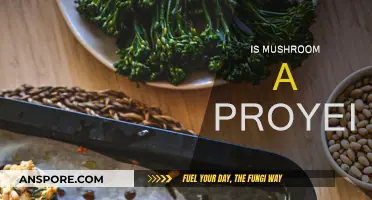 Mushroom Protein Power: Is It Enough?