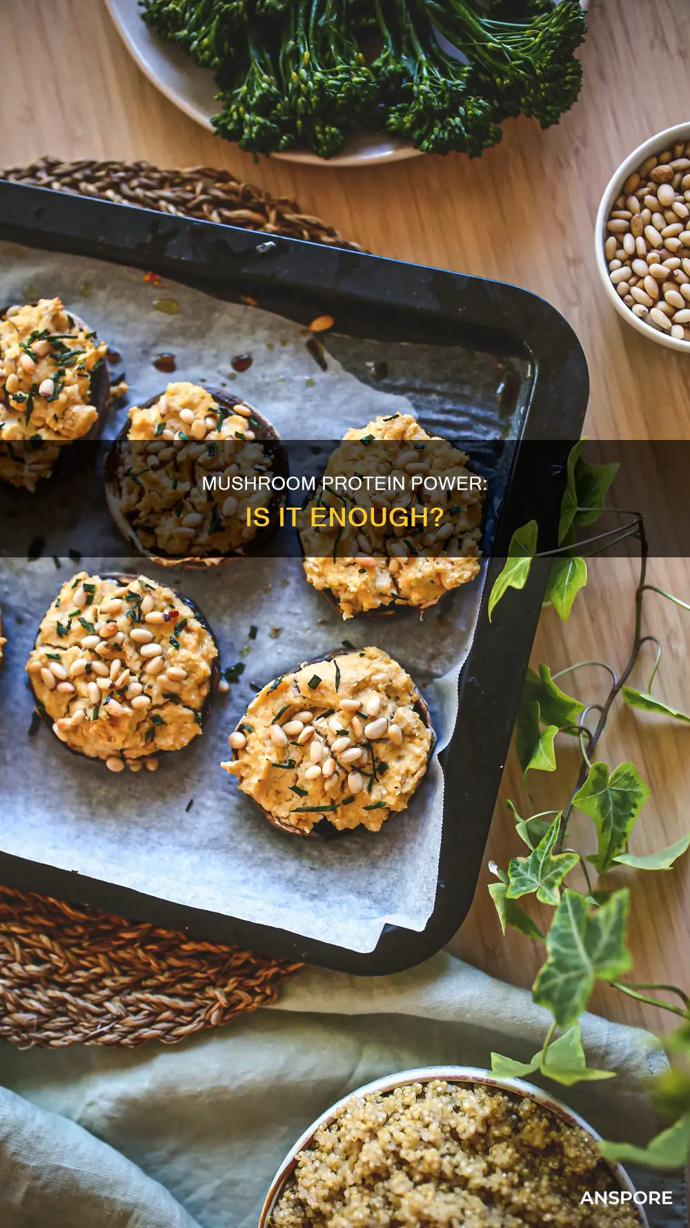 is mushroom a proyein