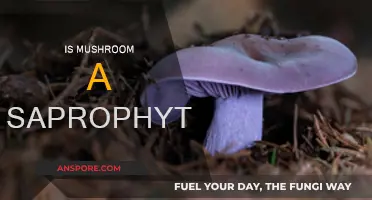 Mushroom Mystery: Saprophytes or Not?