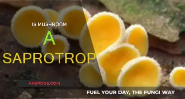 Mushroom Mystery: Saprotroph or Not?