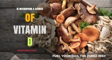 Mushrooms and Vitamin D: Unveiling Their Sunlight-Free Nutritional Benefits