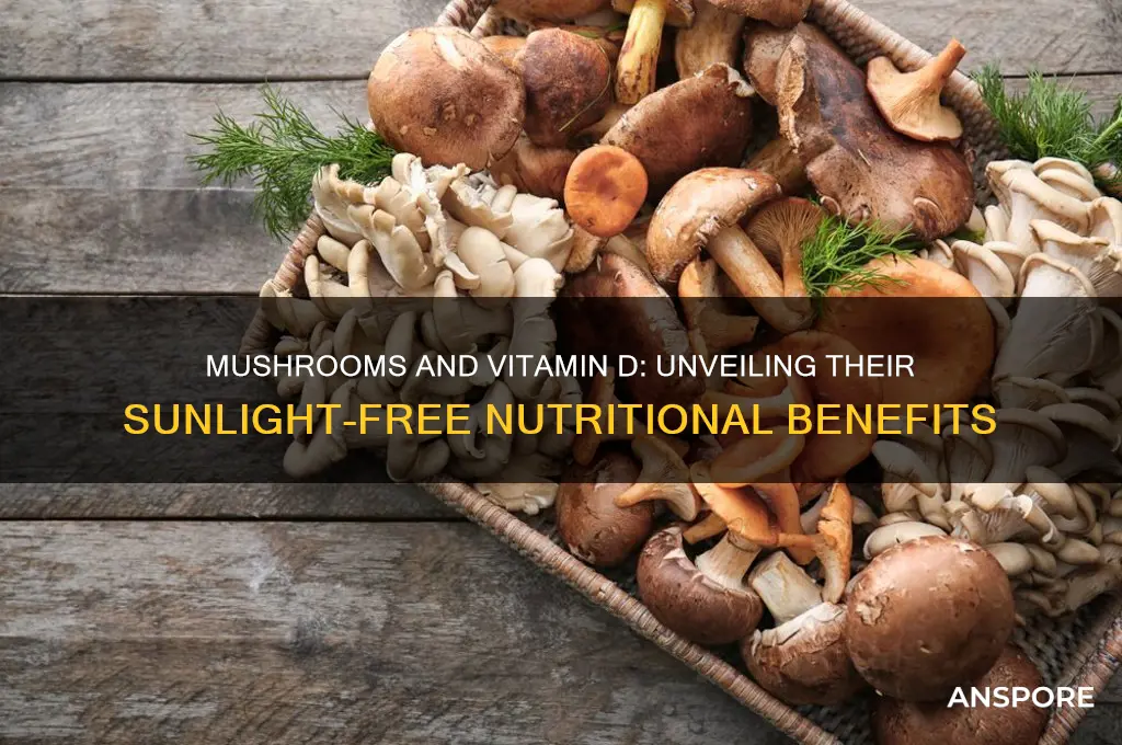 is mushroom a source of vitamin d