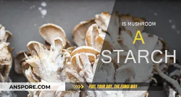 Mushroom Nutrition: Starch or Not?