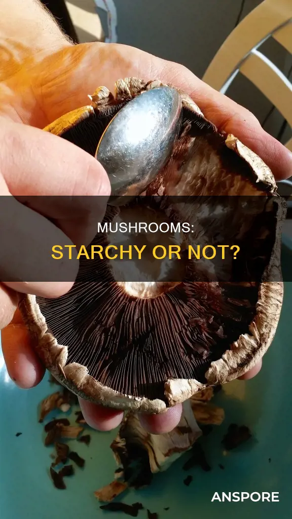 is mushroom a starchy vegetable