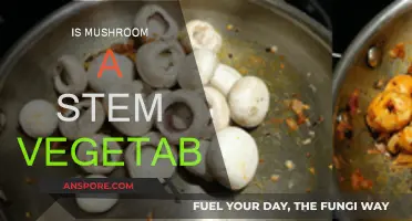 Mushroom Mystery: Stem Vegetable or Not?