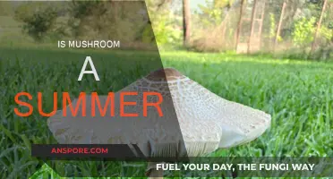 Mushroom's Summer Growth: Is It Seasonal?
