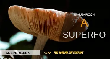 Mushroom Superpowers: Nature's Superfood?