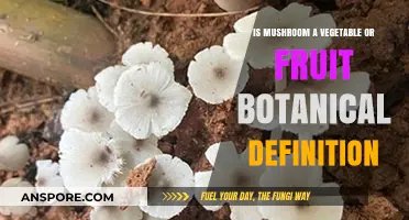 Mushrooms: Vegetable, Fruit, or Neither? Unraveling Botanical Definitions