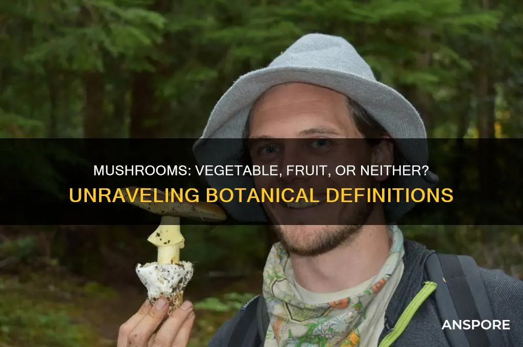 is mushroom a vegetable or fruit botanical definition