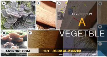 Mushrooms: Vegetables or Not?