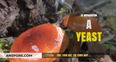 Mushroom vs Yeast: What's the Difference?