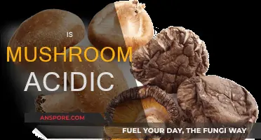 Mushroom pH Mystery: Are They Acidic?