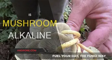 Mushroom Mystery: Are They Acidic or Alkaline?