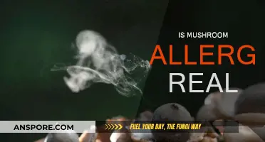 Mushroom Allergy: Fact or Fiction?