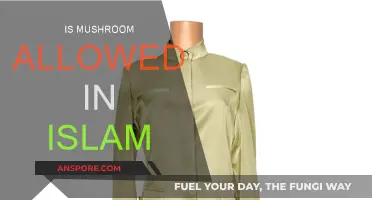 Mushroom Consumption: Halal or Haram in Islam?