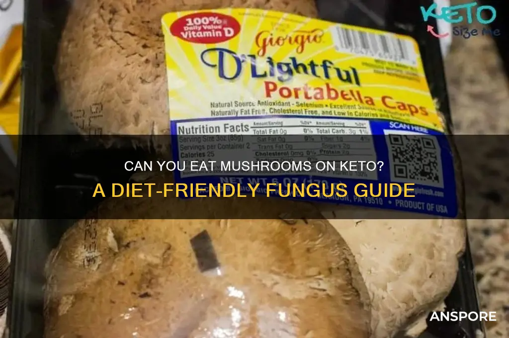 is mushroom allowed in keto diet