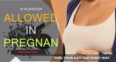 Mushrooms During Pregnancy: Safe or Not?