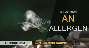 Mushroom Allergies: What You Need to Know