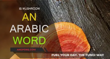 Mushroom: Arabic Origin or Not?
