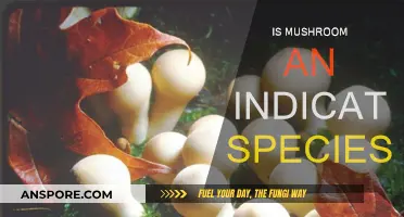 Mushrooms: Nature's Sensitive Indicators