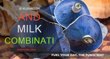 Mushroom and Milk: A Healthy Combination?