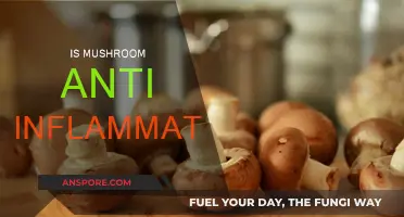 Mushroom Power: Natural Anti-Inflammatory Superfood