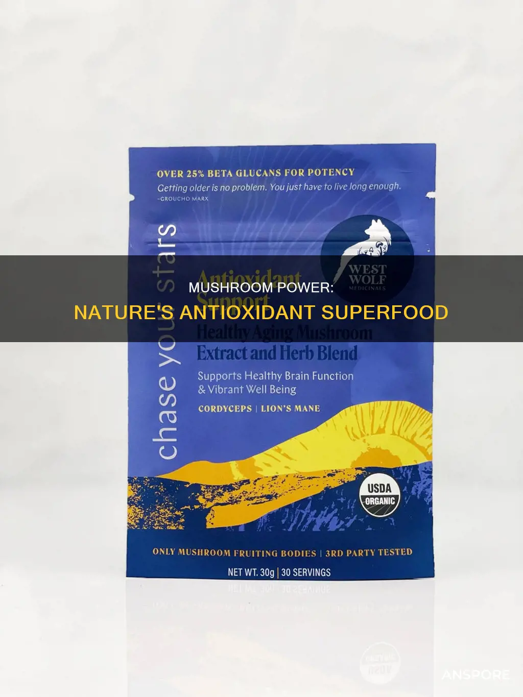 is mushroom antioxidant