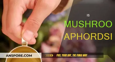 Mushroom Aphrodisiac: Myth or Reality?