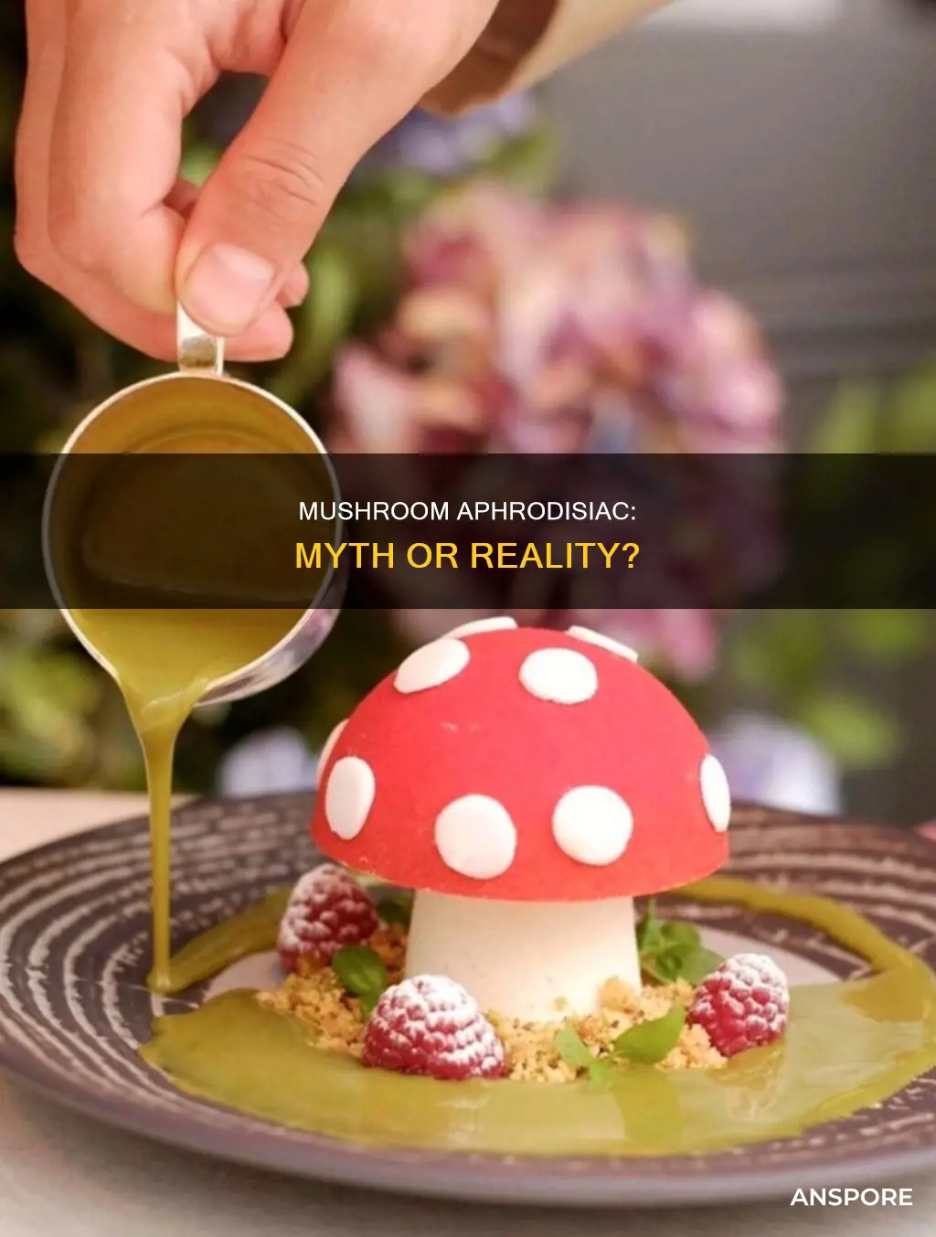is mushroom aphordsiac