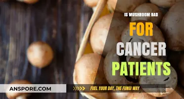 Mushrooms and Cancer: Are They Safe for Patients to Consume?