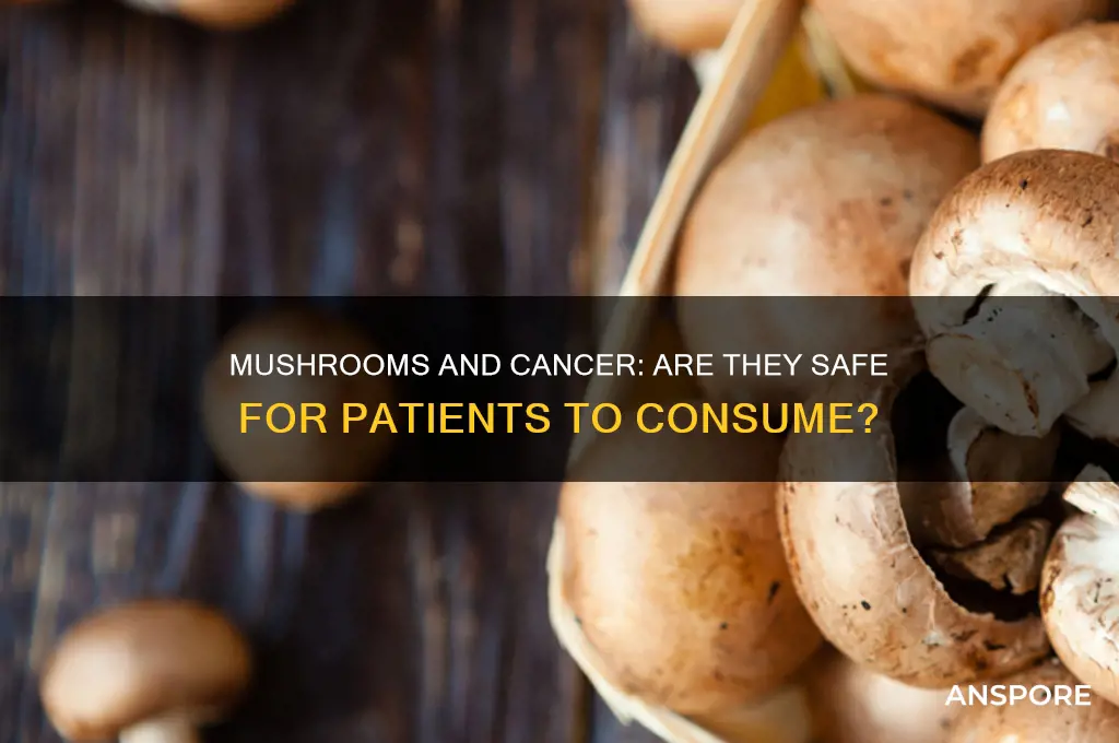 is mushroom bad for cancer patients