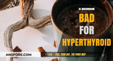 Mushrooms and Hyperthyroidism: Are They Safe or Harmful?