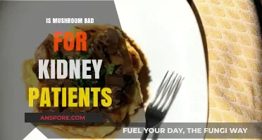 Mushrooms and Kidney Health: Safe or Risky for Patients?