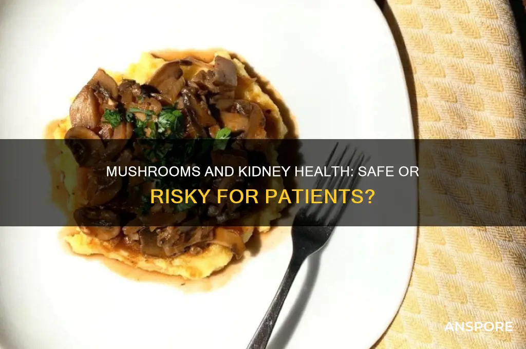 is mushroom bad for kidney patients