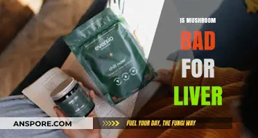 Mushrooms and Liver Health: Debunking Myths and Understanding Risks