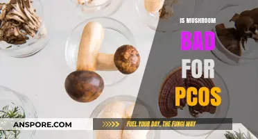 Mushrooms and PCOS: Unveiling the Truth for Hormonal Health