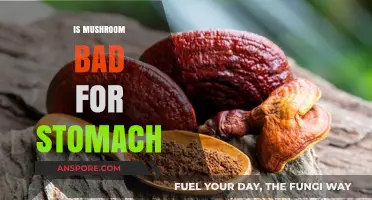 Are Mushrooms Bad for Your Stomach? Debunking Digestive Myths