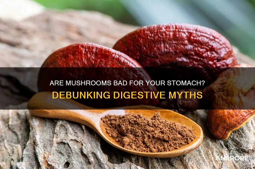 is mushroom bad for stomach