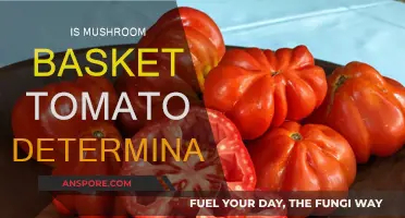 Tomato, Mushroom, and Basket: Determinate or Indeterminate?