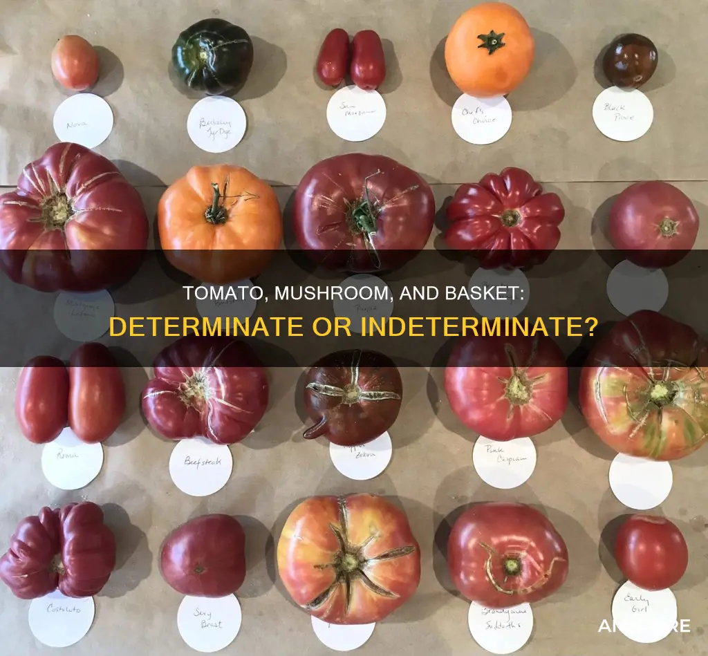 is mushroom basket tomato determinate