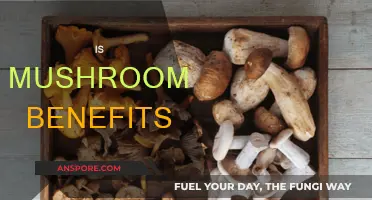 Mushroom Superpowers: Unlocking Nature's Health Benefits