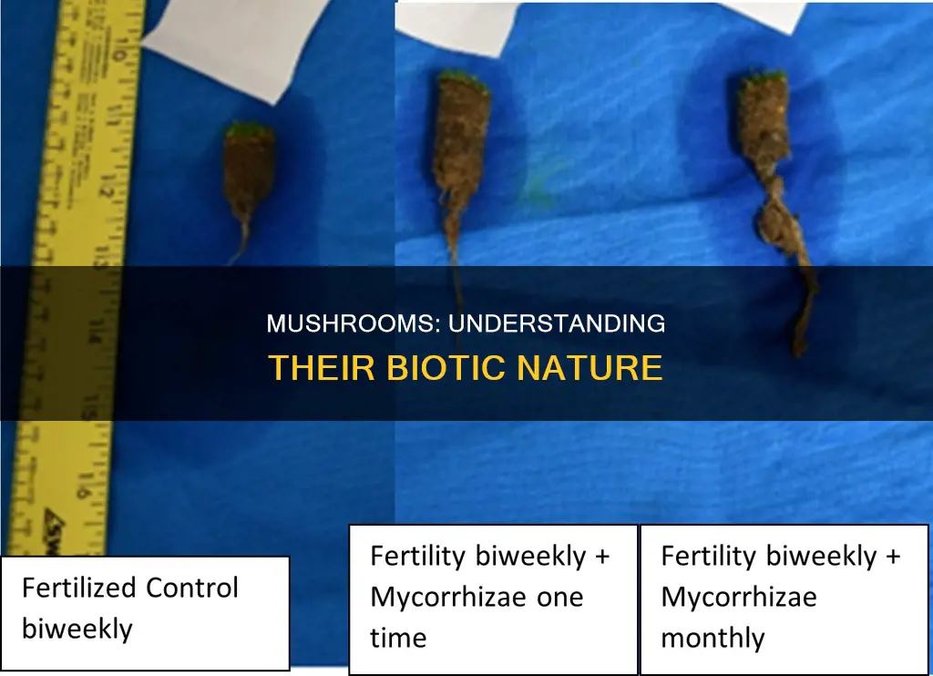 is mushroom biotic or abiotic