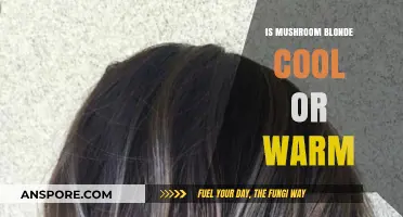 Mushroom Blonde: Decoding Its Warm or Cool Tone Appeal