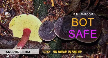 Mushroom Bot Safety: Is It Reliable?