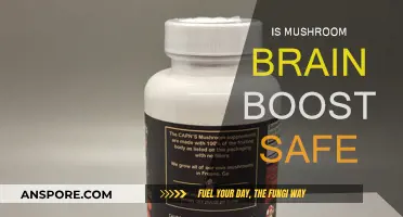Mushroom Brain Boost: Safe or Not?