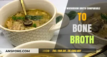 Mushroom Broth vs. Bone Broth: Nutritional Benefits and Flavor Comparison