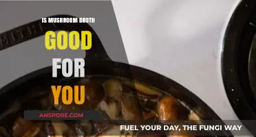 Mushroom Broth Benefits: Unlocking Nutrients and Health Advantages for You