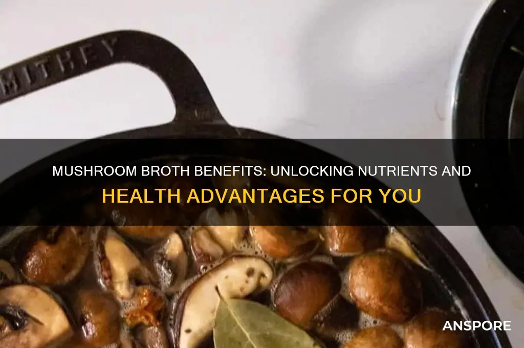 is mushroom broth good for you
